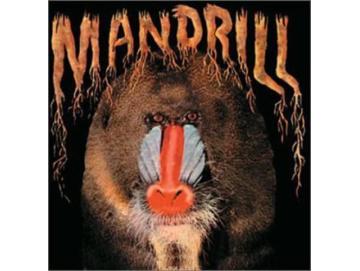 Mandrill - Mandrill (LP)