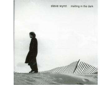 Steve Wynn - Melting In The Dark (CD)