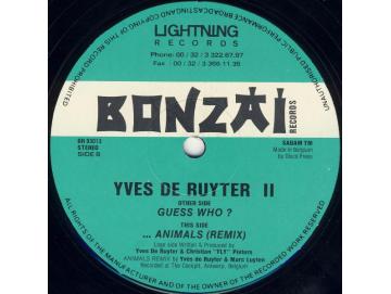 Yves De Ruyter - II (12inch)