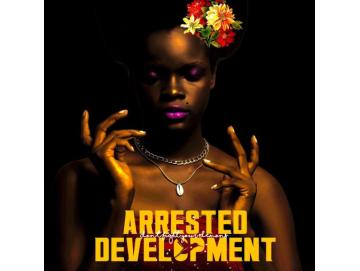Arrested Development - Don´t Fight Your Demons (2LP)