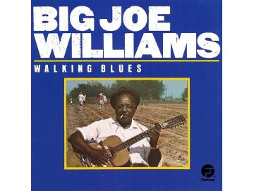 Big Joe Williams - Walking Blues (CD)