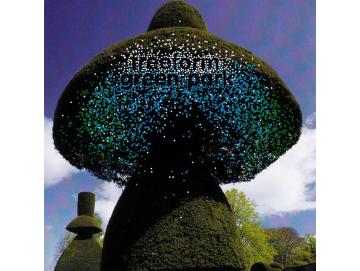 Freeform - Green Park (LP)