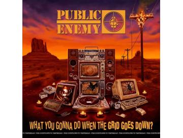 Public Enemy ‎- What You Gonna Do When The Grid Goes Down? (LP)