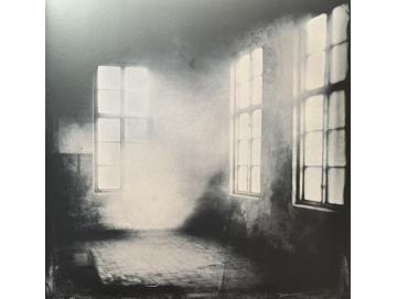 David Granström ‎- Empty Room (LP)