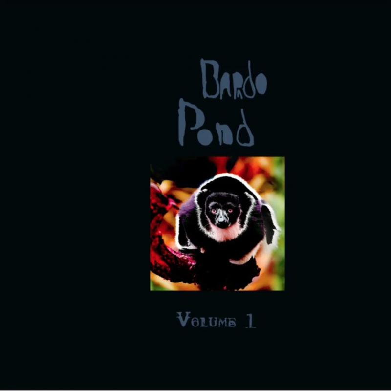 Bardo Pond - Volume 1 (LP) (Colored)