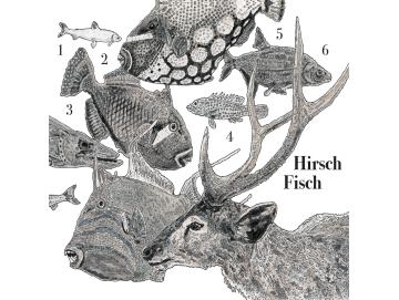 Hirsch Fisch - 1 2 3 4 5 6 Hirsch Fisch (CD)