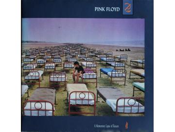 Pink Floyd - A Momentary Lapse Of Reason (LP)