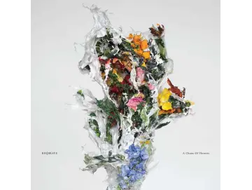 Big Brave - A Chaos Of Flowers (CD)