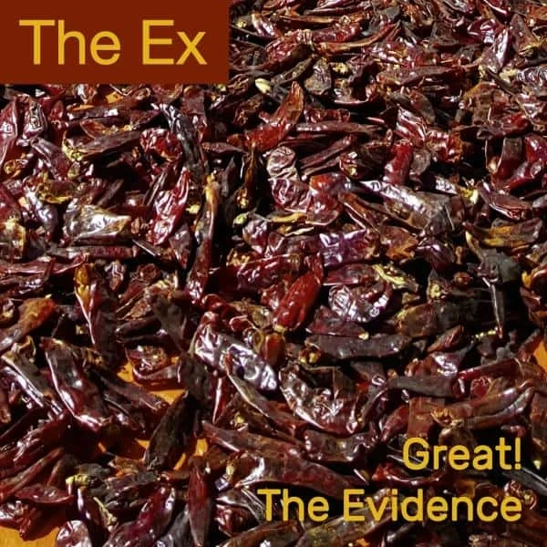 The Ex - Great! (7inch)