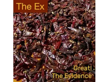 The Ex - Great! (7inch)