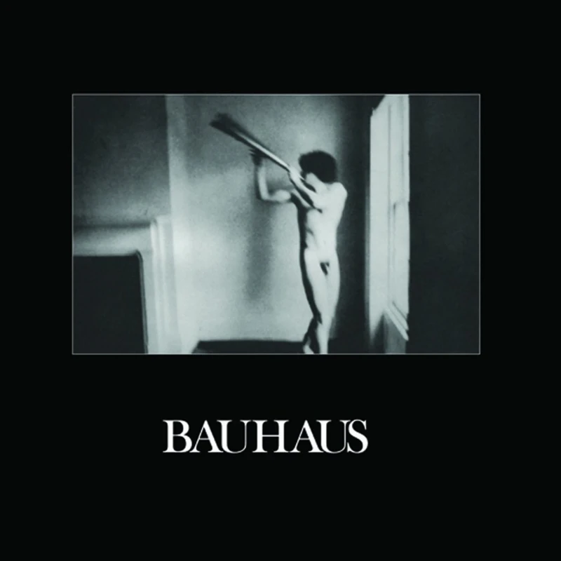 Bauhaus - In The Flat Field (LP)