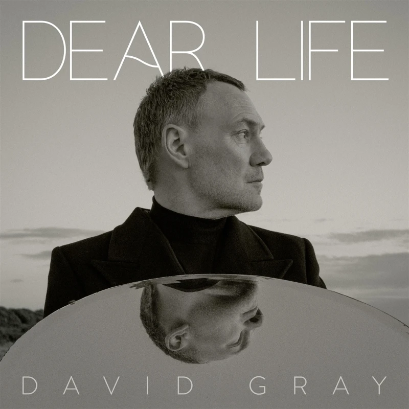 David Gray - Dear Life (CD)