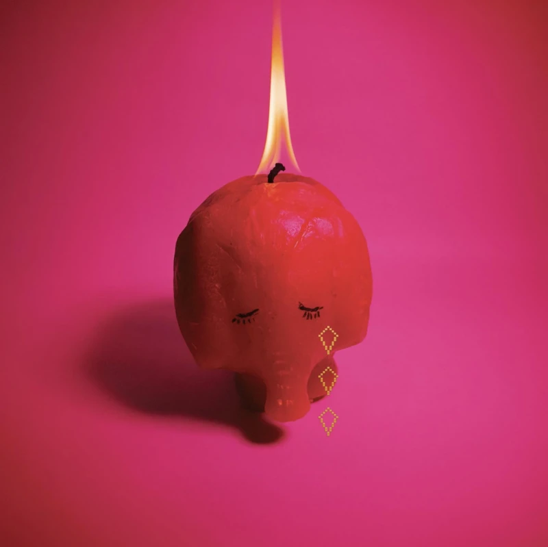 Arcade Fire - Pink Elephant (LP) Arcade Fire - Pink Elephant (LP)