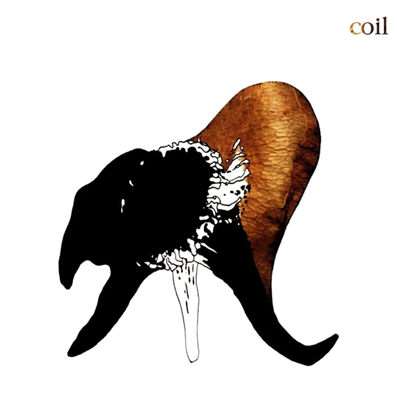 Coil - Black Antlers (2LP) Coil - Black Antlers (2LP)