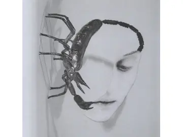 Tortoise - Touch (CD)