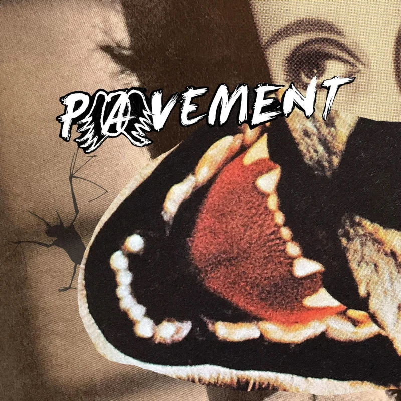 Pavement - Hecklers Choice: Big Gums And Heavy Lifters (A Pavement Collection) (LP)