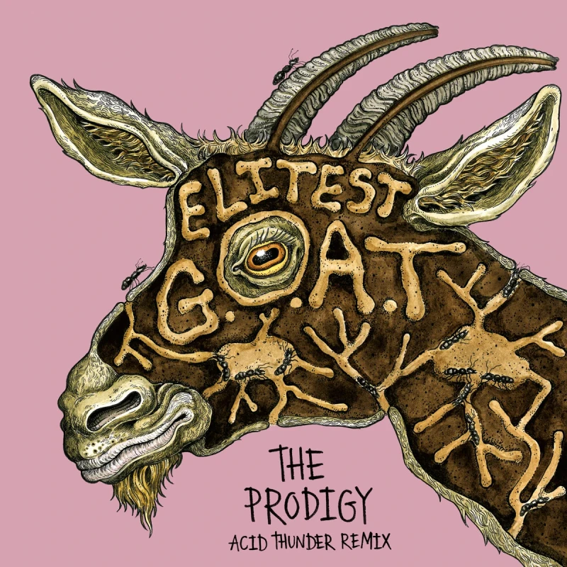 Sleaford Mods & The Prodigy Feat. Aldous Harding - Elitest G.O.A.T. (The Prodigy Acid Thunder Mix) (7inch) (Colored) Sleaford Mods & The Prodigy Feat. Aldous Harding - Elitest G.O.A.T. (The Prodigy Acid Thunder Mix) (7inch) (Colored)