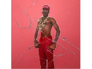 Tyler, The Creator - Don't Tap The Glass (LP) (Colored)