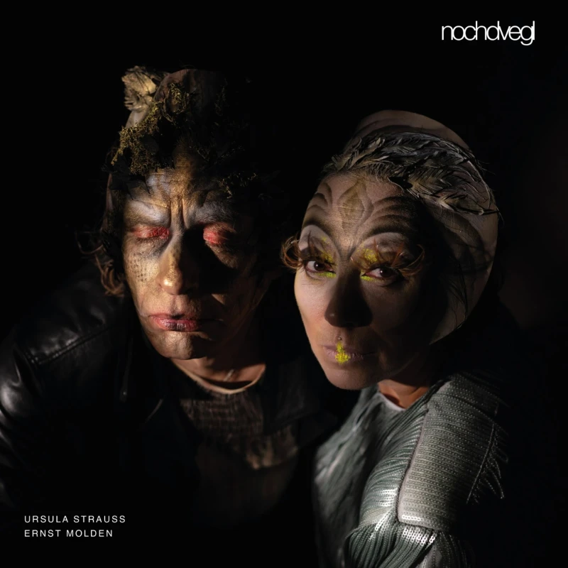 Ursula Strauss & Ernst Molden - Nochdvegl (LP) Ursula Strauss & Ernst Molden - Nochdvegl (LP)