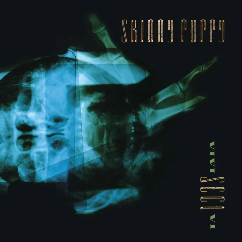 Skinny Puppy - VIVI Sect VI (LP) Skinny Puppy - VIVI Sect VI (LP)