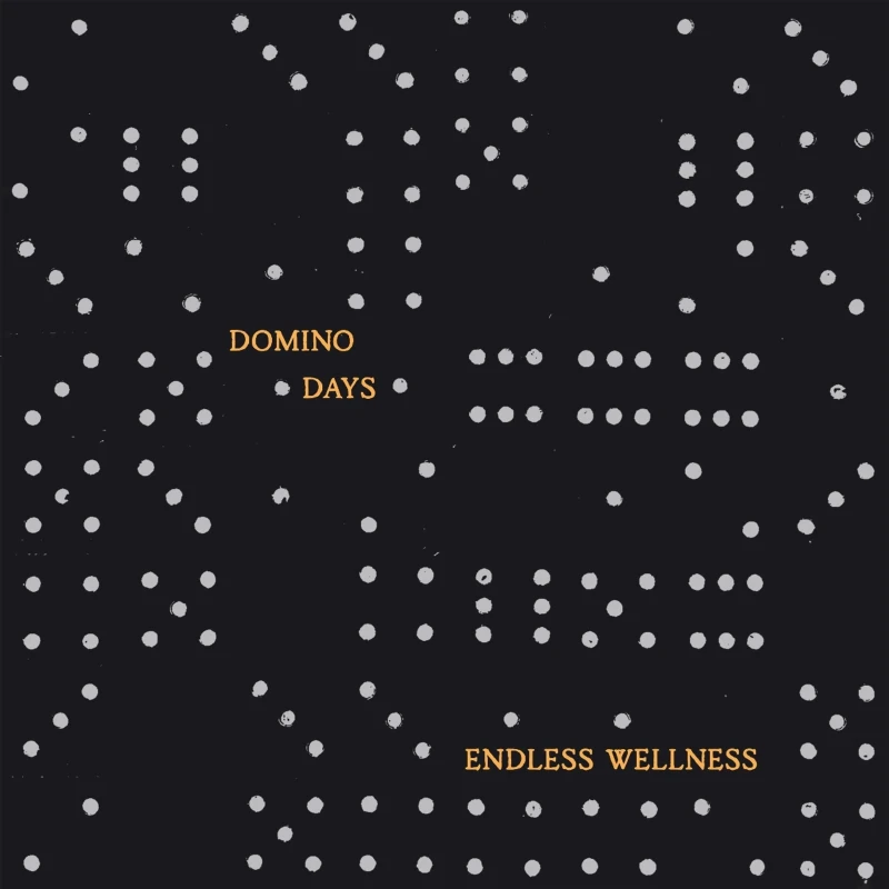Endless Wellness - Domino Days (LP) Endless Wellness - Domino Days (LP)
