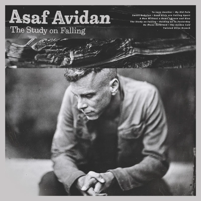 Asaf Avidan - The Study On Falling (LP) Asaf Avidan - The Study On Falling (LP)