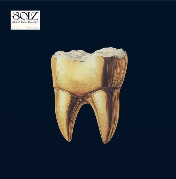 Anna Buchegger - Soiz (LP) (Colored)