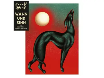 Conny Ochs - Wahn Und Sinn (LP)
