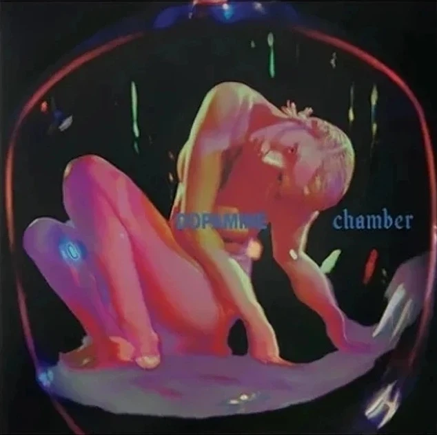 Fontaines D.C. - Dopamine Chamber (2LP) Fontaines D.C. - Dopamine Chamber (2LP)