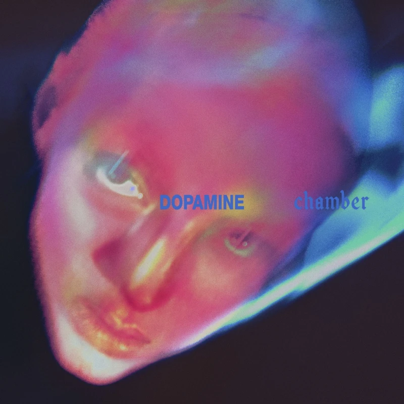 Fontaines D.C. - Dopamine Chamber (CD) Fontaines D.C. - Dopamine Chamber (CD)