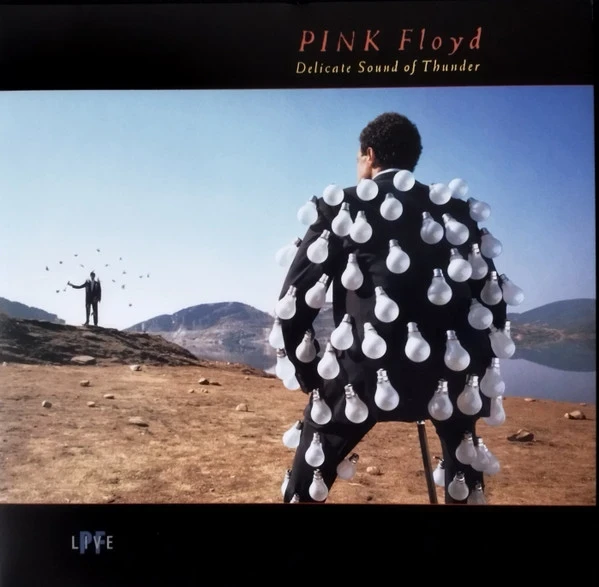 Pink Floyd - Delicate Sound Of Thunder (2LP)