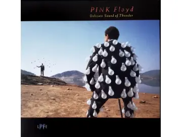 Pink Floyd - Delicate Sound Of Thunder (2LP)