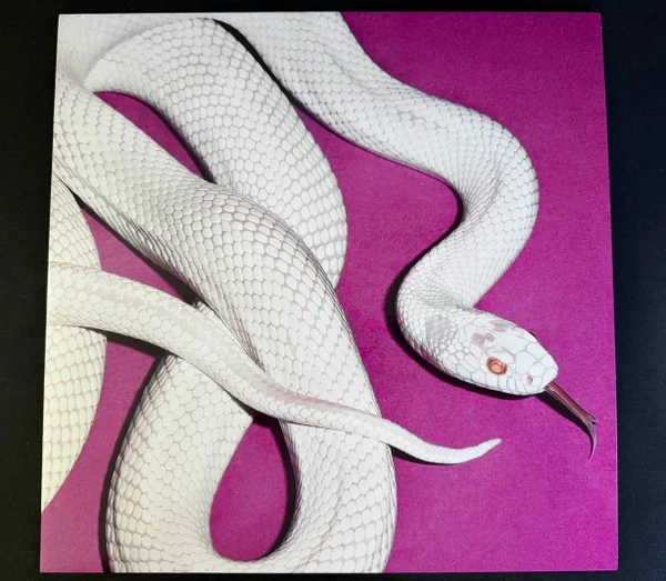 Deftones - Private Music (LP) (Colored)