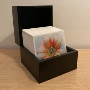 Rammstein - XXXIII (Box Set)