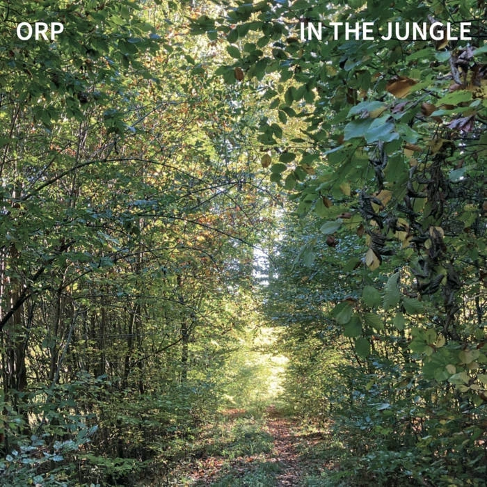 ORP - In The Jungle (LP)