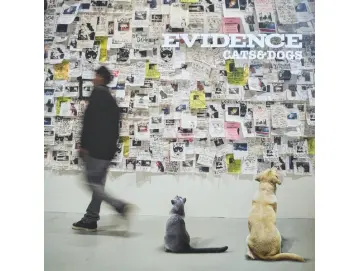 Evidence - Cats & Dogs (2LP) (Colored)