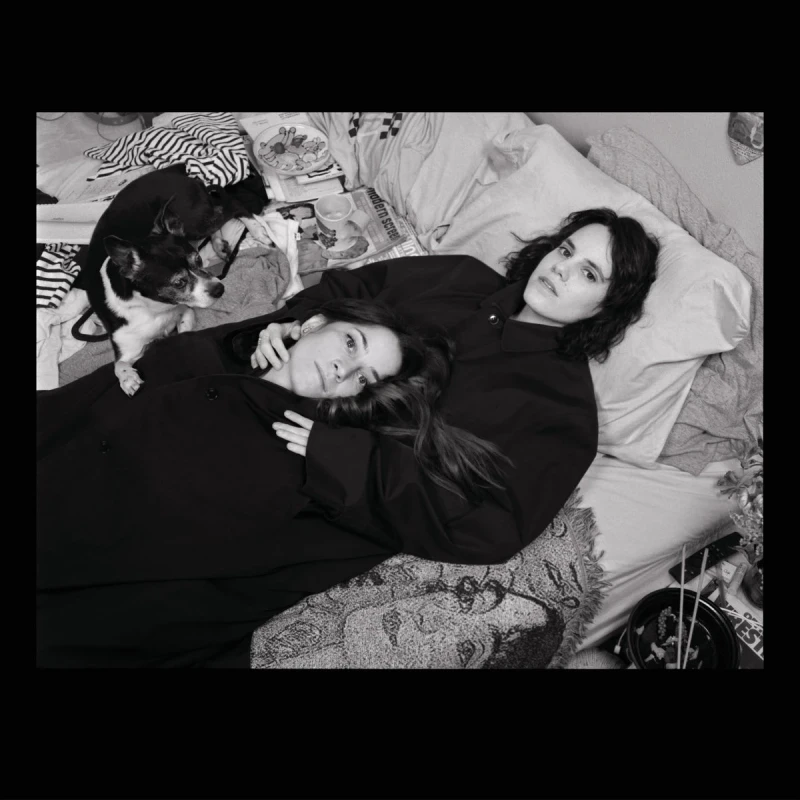 Cousines Like Shit - Permanent Eartthquake (LP)