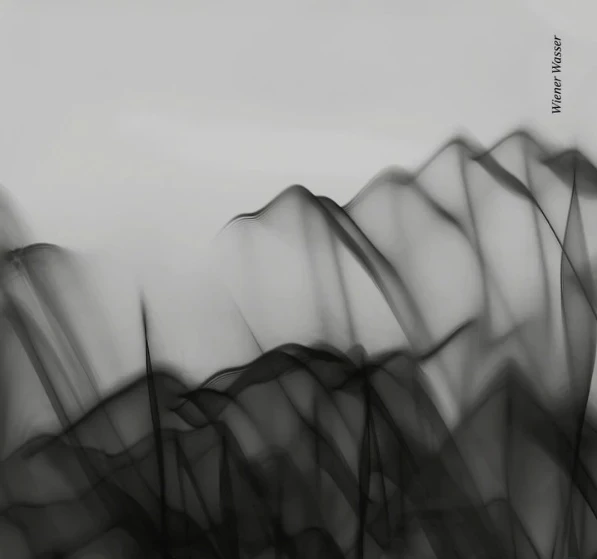 Various - Wiener Wasser (12inch)