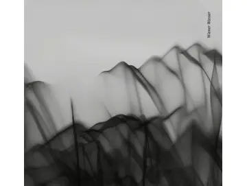 Various - Wiener Wasser (12inch)