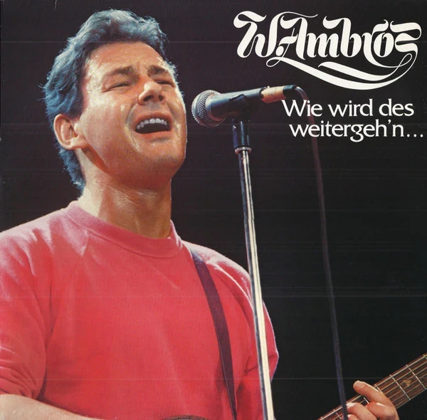 Wolfgang Ambros - Wie Wird Des Weitergeh'n... (LP)